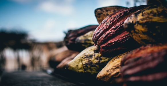 Cérémonie du Cacao Sacré – Rencontrer et accueillir le Masculin Sacré