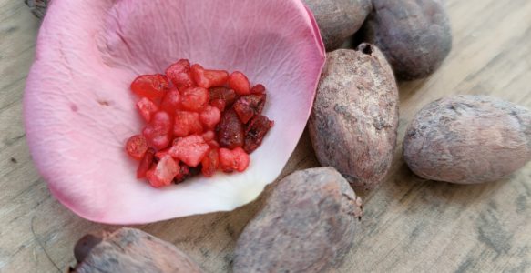 Cérémonie Cacao Sacré & Rose : l’Enfant Intérieur