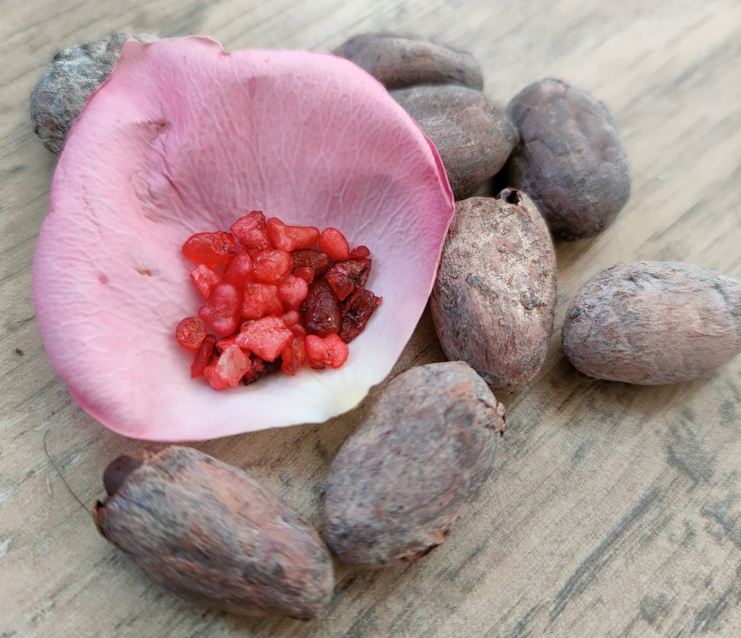 Cérémonie Cacao Sacré & Rose : l’Enfant Intérieur