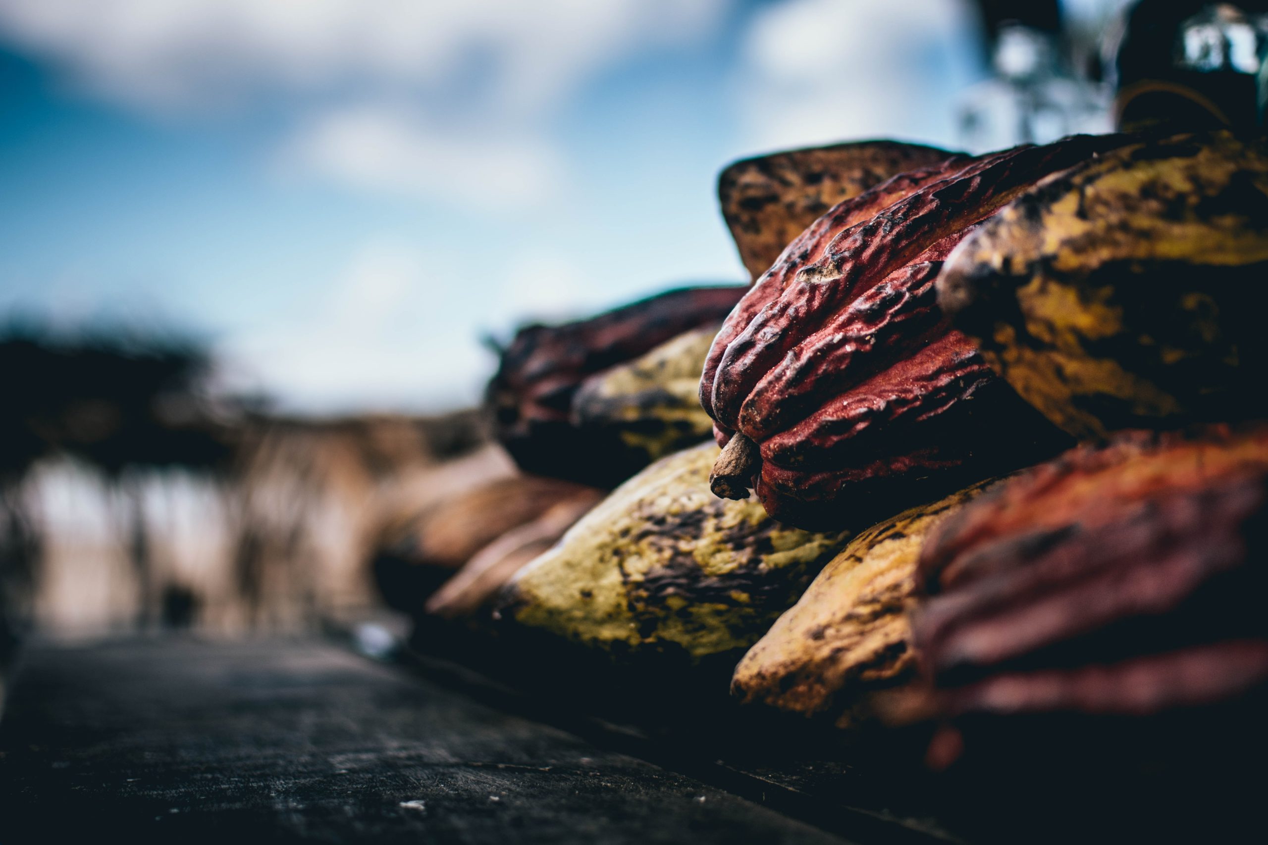Cérémonie Cacao Sacré – 25 mars