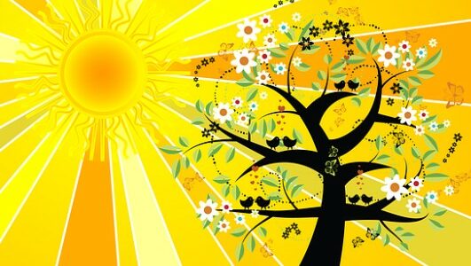 Cercle d’harmonisation des chakras du Solstice, au tambour chamanique