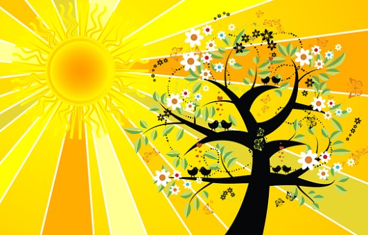 Cercle d’harmonisation des chakras du Solstice, au tambour chamanique