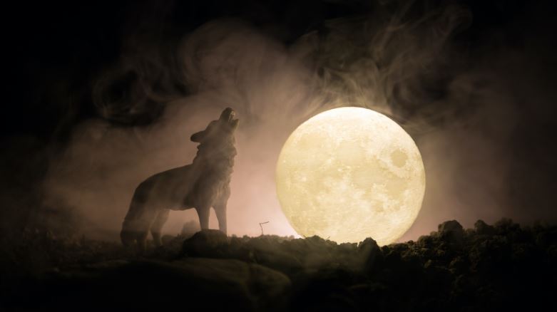 Célébrer la Lune du Loup avec Mama CACAO