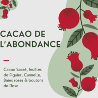 Cacao de l'Abondance