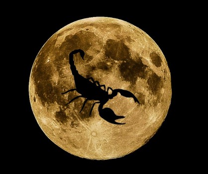 Cérémonie de Cacao Sacré – Pleine Lune en Scorpion